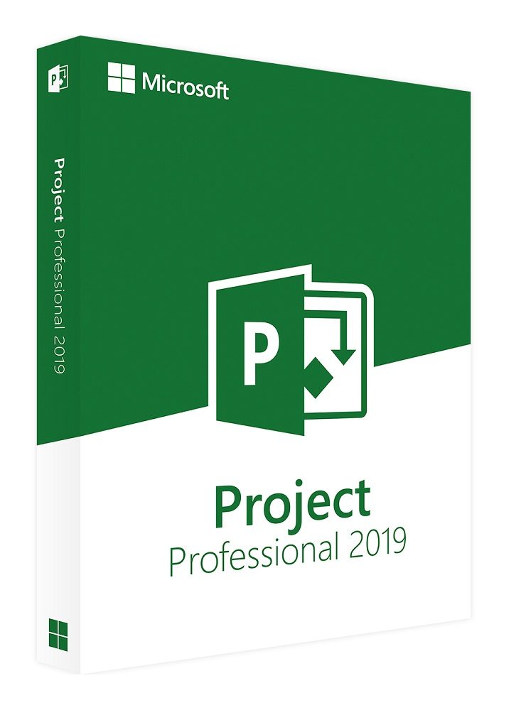 buy project 2019 professional